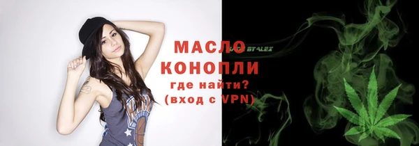 ECSTASY Богданович