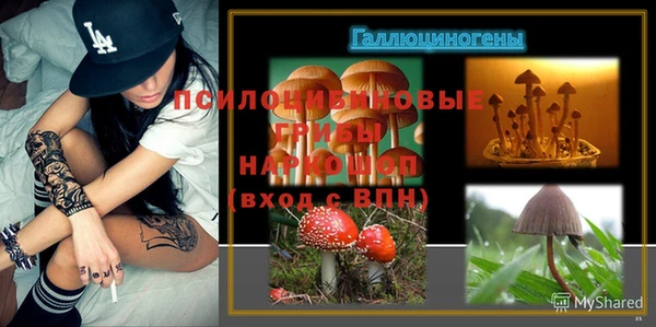 а пвп мука Верея