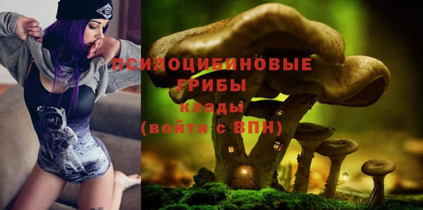 стафф Инта