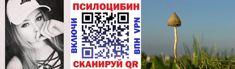 Псилоцибиновые грибы мицелий  Северск 