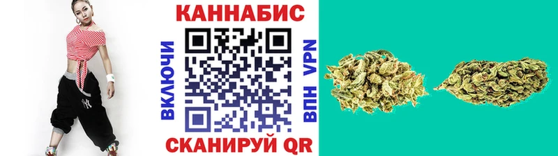 где купить наркоту  Северск  Бошки Шишки гибрид 